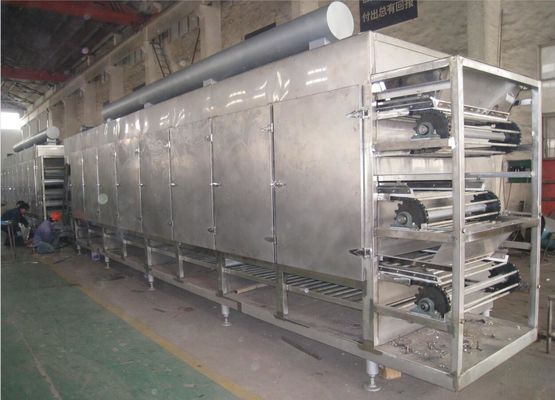 Nastro trasportatore a più strati Oven For Onion/zenzero dell'aria calda di serie di DWG