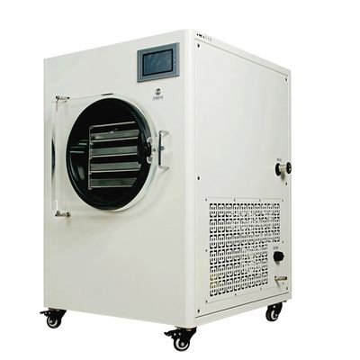 Essiccatore di riscaldamento elettrico di sublimazione della macchina dell'essiccatore di gelata di vuoto per la verdura