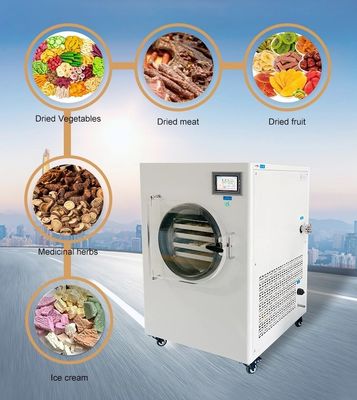 Essiccatore di riscaldamento elettrico di sublimazione della macchina dell'essiccatore di gelata di vuoto per la verdura